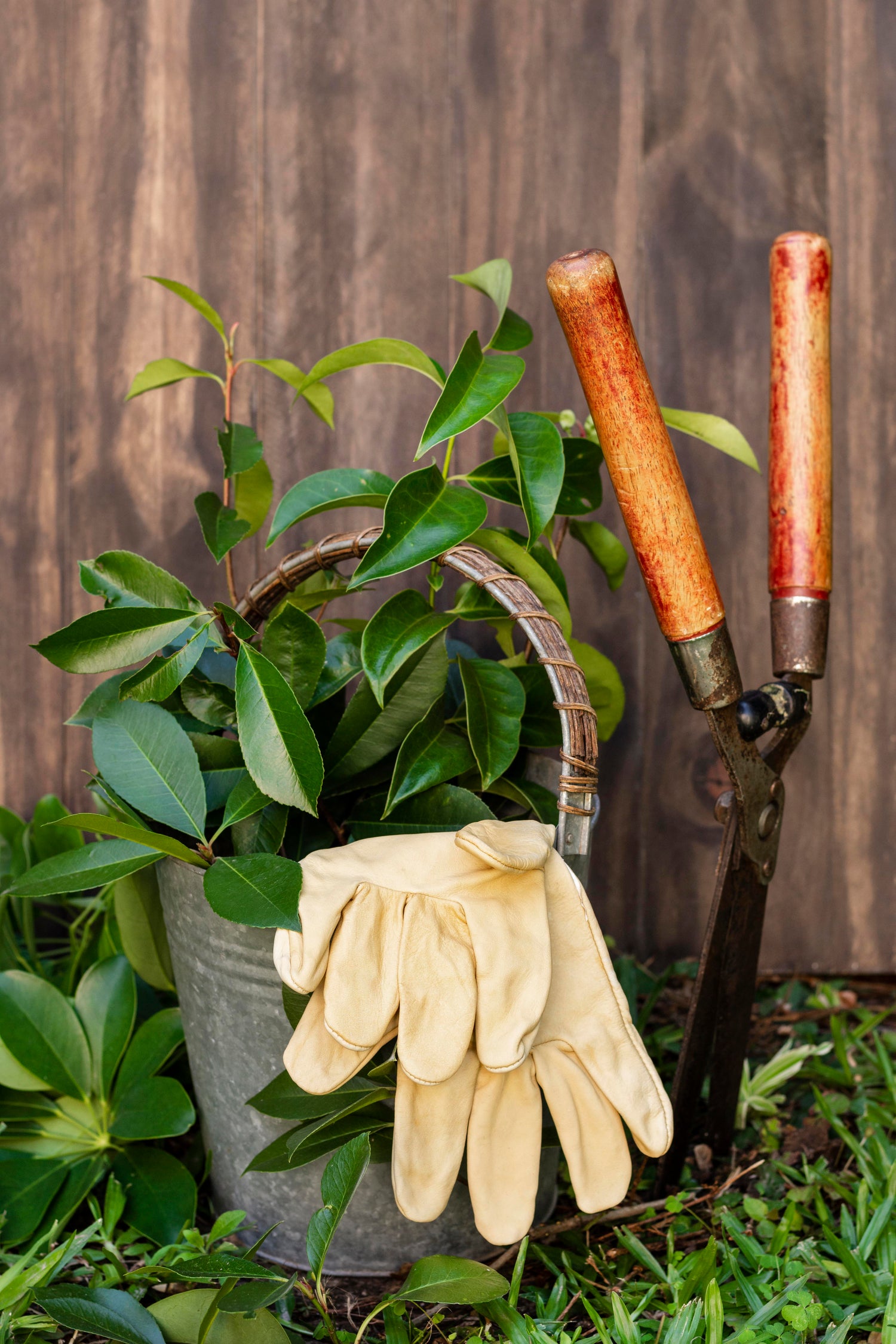 Outdoor Gear & Tools